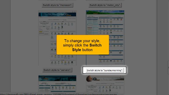 02-switch-style cPanel Style
